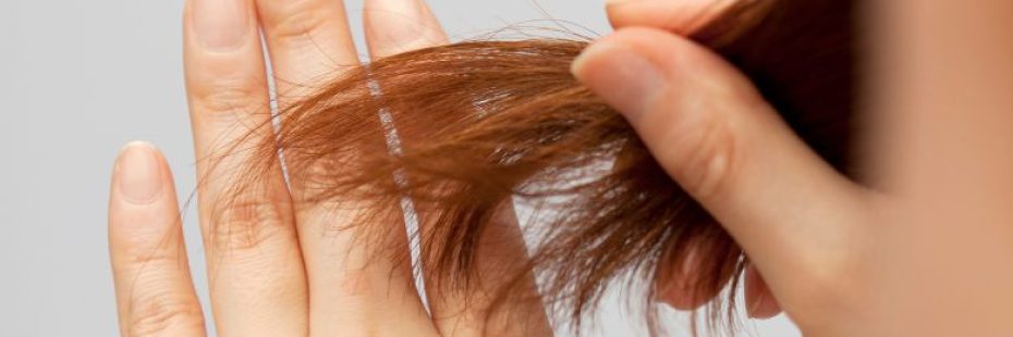Cabelo fino e sem volume: causa hormonal ou nutricional? - Amanda Esperancin