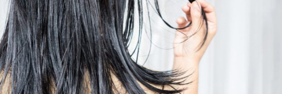 Tratamento para couro cabeludo oleoso: quais opções existem? - Amanda Esperancin